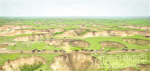 草原生態惡化