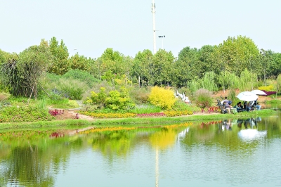 黃家湖公園河畔上，1500平方米水生植物組成武漢首個“水上花境”