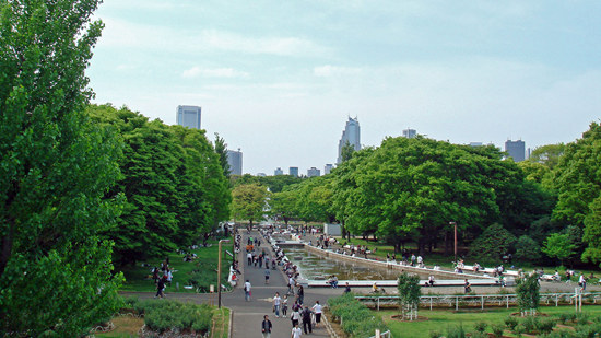 代代木公園 登革熱 重新開放