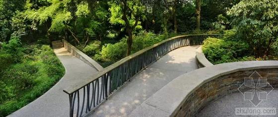 英國國家景觀獎 王向榮 槭樹杜鵑園 杭州植物園 