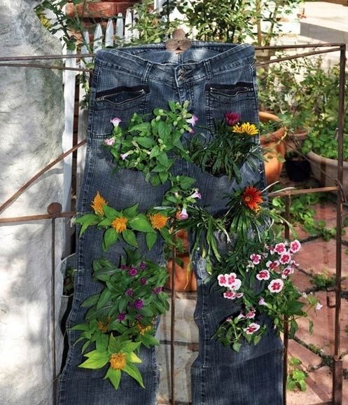 別樣花器別樣情趣 盆栽綠植煥發(fā)出新生機(jī)