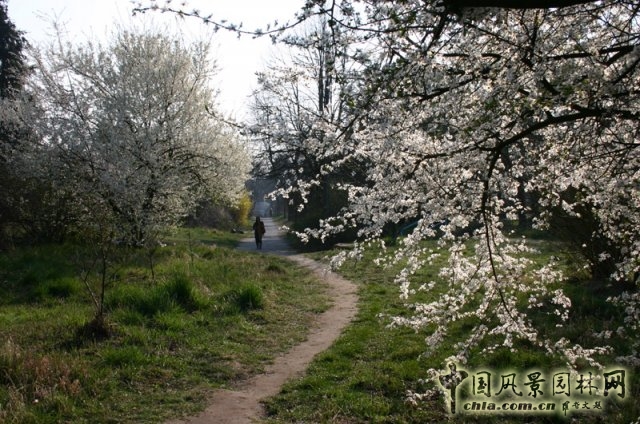 德國勃蘭登堡州ZEGG生態村