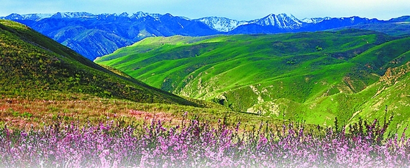 巴爾魯克山國家級自然保護區(qū)景色。
