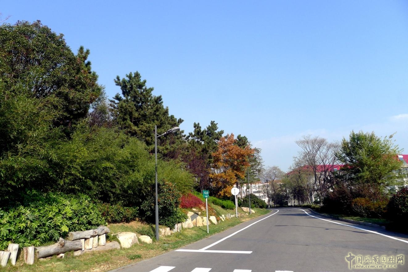 外圍環(huán)路與兩側(cè)綠化實景