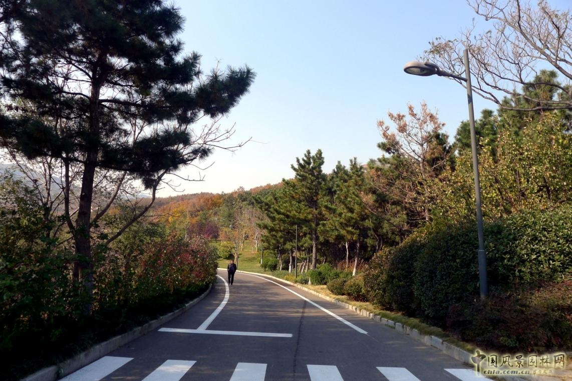 外圍環(huán)路與兩側(cè)綠化實景