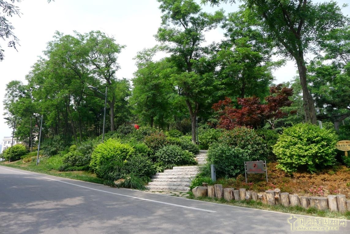外圍環(huán)路與兩側(cè)綠化實景