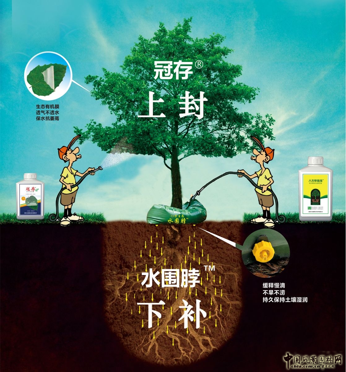 諾普信"樹木全冠移栽新技術(shù)"亮相高峰論壇