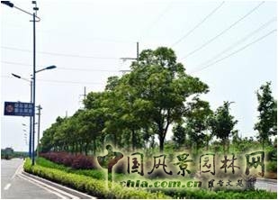 張一成：綠色城市核心理念及規(guī)劃設(shè)計(jì)重點(diǎn)