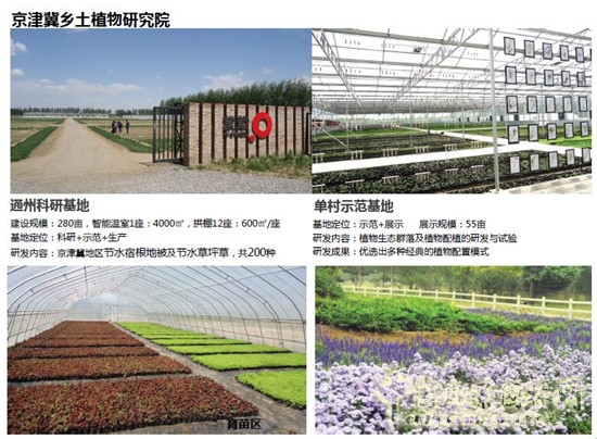 郭建梅：節(jié)水園林——蒙草遇上節(jié)水的時代