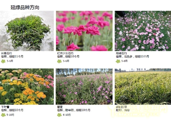 郭建梅：節(jié)水園林——蒙草遇上節(jié)水的時代