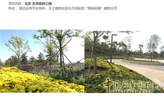 郭建梅：節(jié)水園林——蒙草遇上節(jié)水的時(shí)代
