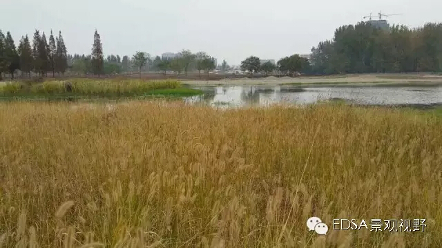 關(guān)于舉辦濕地公園案例項(xiàng)目考察的邀請函