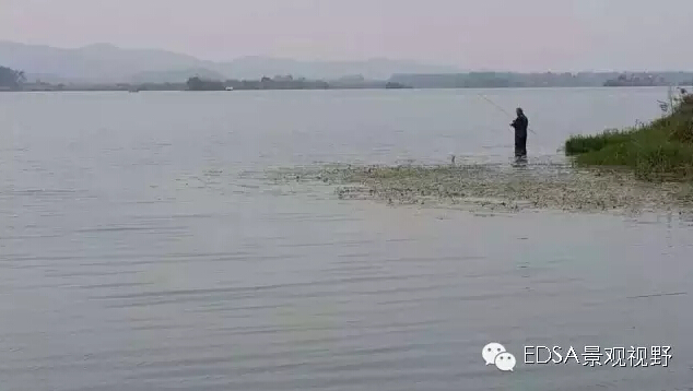 關(guān)于舉辦濕地公園案例項(xiàng)目考察的邀請函