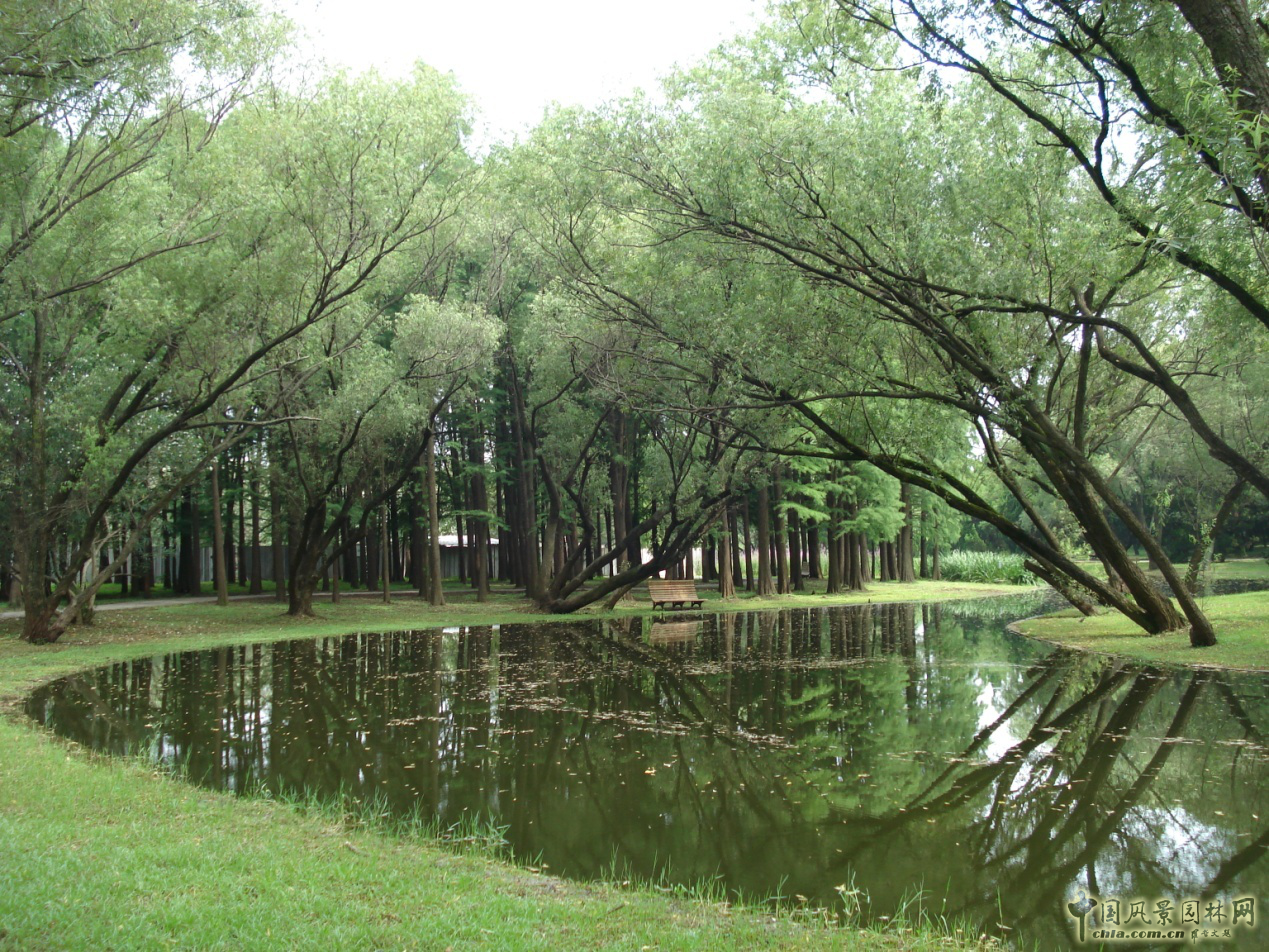 南京林業大學風景園林學院社會實踐活動（二）