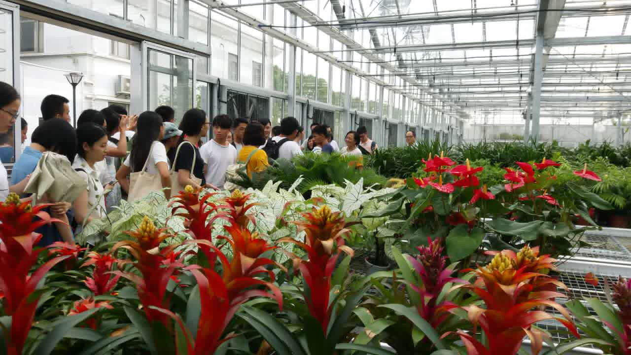 系列報道3：南林風景園林學院走進企業和學校