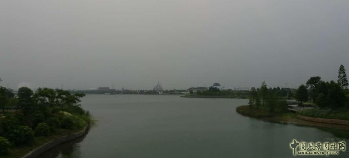 系列報道4：南林風(fēng)景園林學(xué)院走進上海園林集團