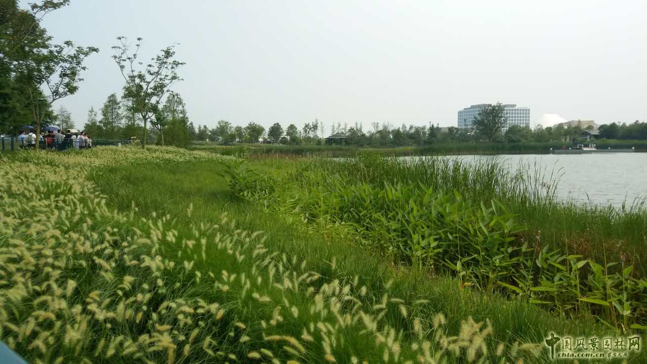系列報道4：南林風(fēng)景園林學(xué)院走進上海園林集團