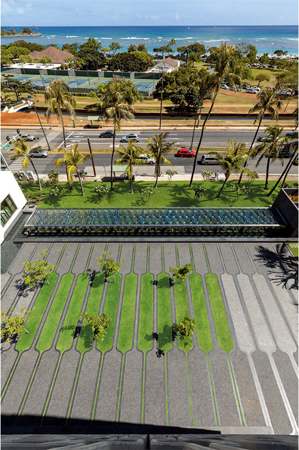 ASLA：夏威夷IBM大樓廣場設計