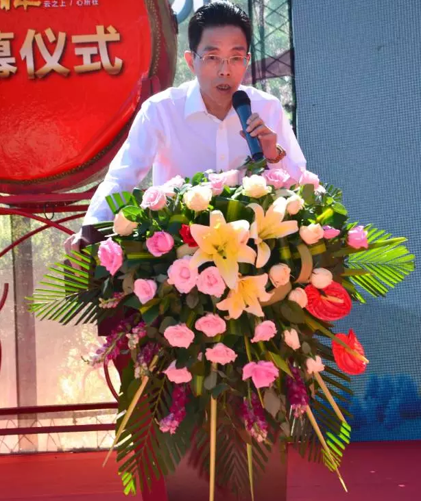 云投生態(tài)投資建設的重慶"云美?森林時光"旅游地產項目啟動預售