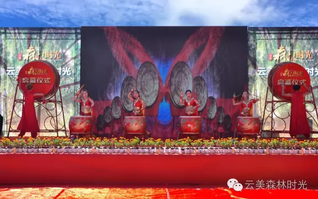 云投生態(tài)投資建設的重慶"云美?森林時光"旅游地產項目啟動預售