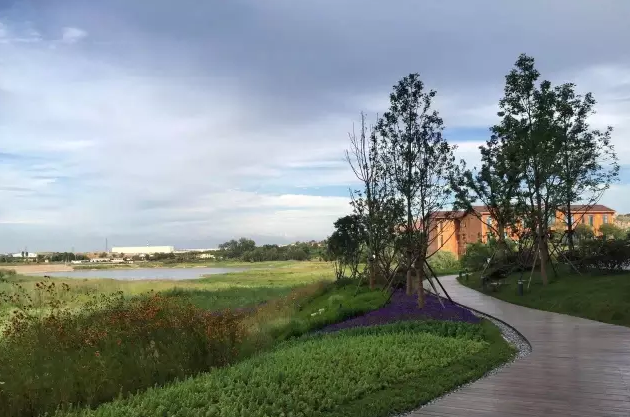 青島中德生態(tài)園德國企業(yè)中心景觀設計