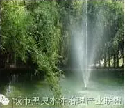 有圖有真相 水環(huán)境生態(tài)修復技術(shù)方案