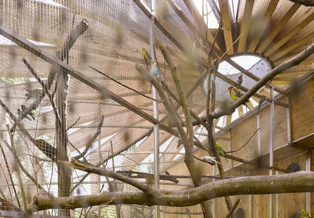 厄赫林根寵物動(dòng)物園景觀（圖）