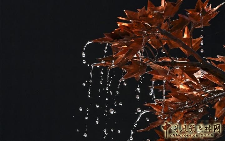 2016英國切爾西花展——?dú)v數(shù)那些有趣的細(xì)部設(shè)計(jì)