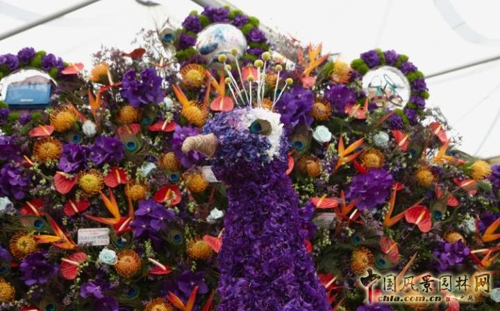 英國(guó)2016切爾西花展掀起的花藝設(shè)計(jì)熱潮