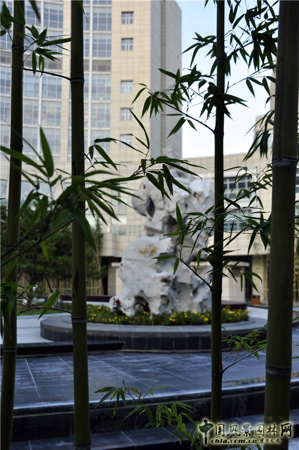 郭麗文：北大國際醫(yī)院園林的傳統(tǒng)文化特色