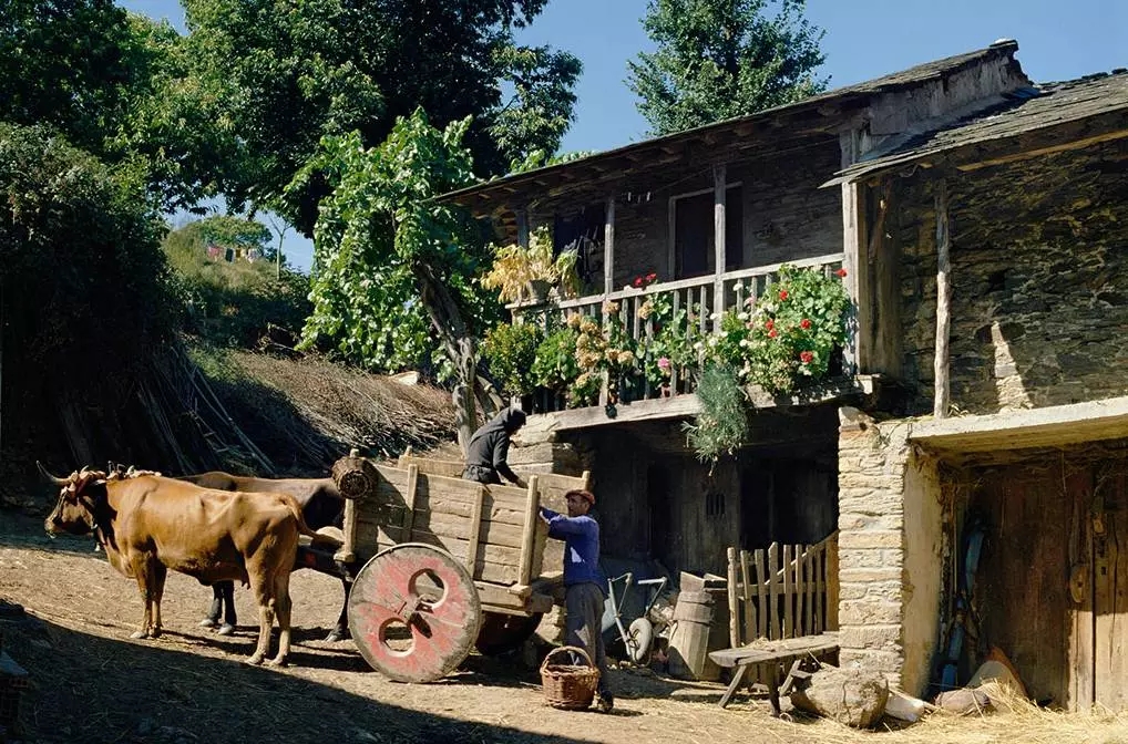 鄉村景觀：要望得見山，看得見水，記得住鄉愁。