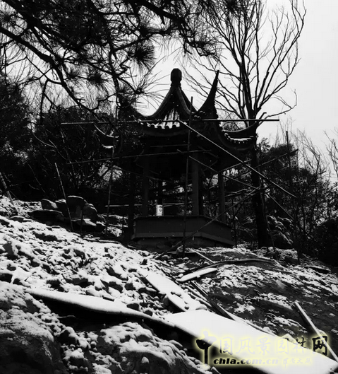 2016園冶杯專業(yè)獎(jiǎng)參賽項(xiàng)目：北辰旭輝壹號(hào)院