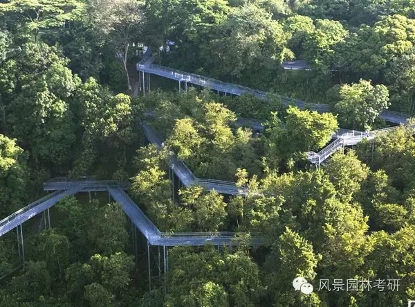 景觀設計中地形高差處理不會？看過來！