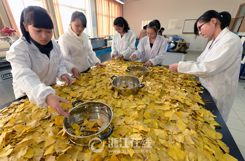 浙紡院一研究成果獲國(guó)家10項(xiàng)專(zhuān)利 純天然植物染料服裝受青睞