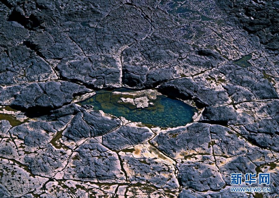 走進(jìn)福建漳州濱?；鹕絿业刭|(zhì)公園
