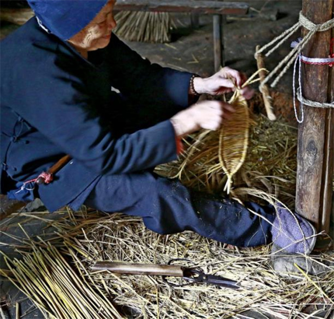 未來鄉(xiāng)村樓納實踐學術研討會召開在即 