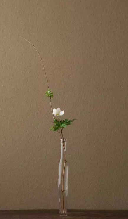 藝術(shù)，插花里也充滿著禪意