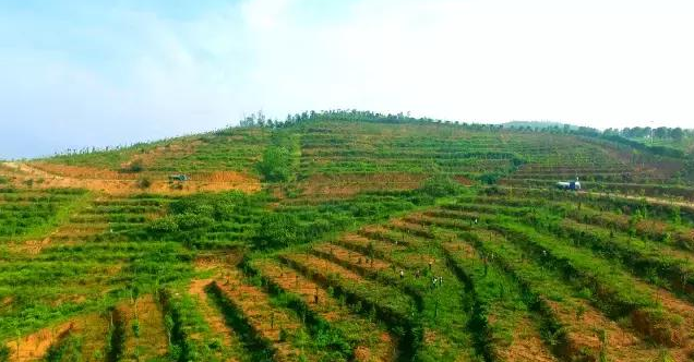 株洲十萬畝荒山變園林，將打造成5A景區(qū)