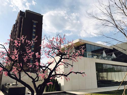 4月10日北京精品園林考察，火熱招募中！