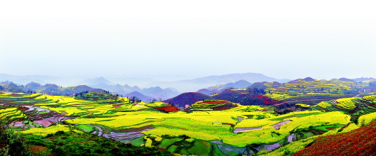 貴州：旅游+農(nóng)業(yè)　農(nóng)田成為風(fēng)景