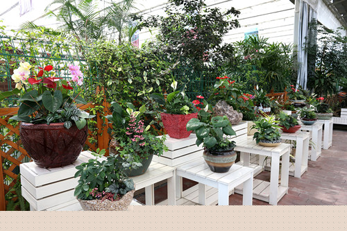 深入企業共話園林發展——風景園林部落一行參觀考察西湖山莊項目