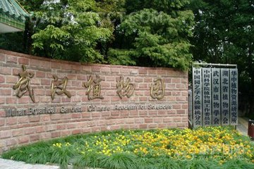 武漢植物園生物多樣性監(jiān)測網(wǎng)絡基地揭牌