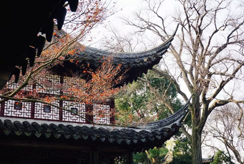 蘇州園林：建筑構(gòu)成布局自由的典型