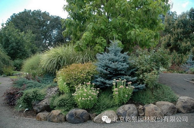 乾景園林【花境系列一】低維護花境