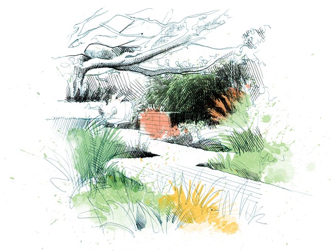 居住區(qū)花園景觀設(shè)計(jì)的八原則