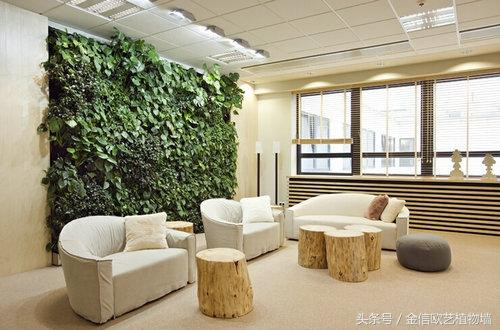 立體綠化植物墻為何這么受歡迎？