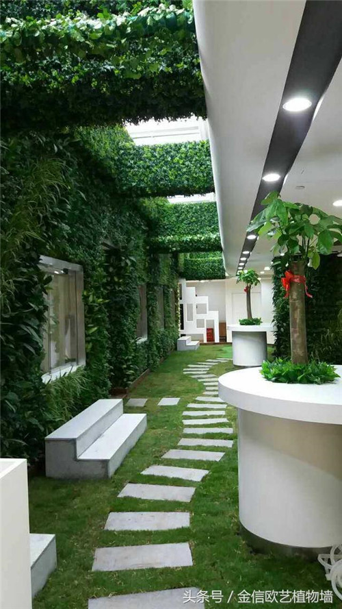 立體綠化植物墻為何這么受歡迎？