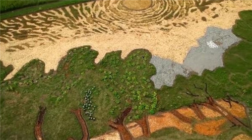 老農(nóng)民用植物種出一副梵高名畫