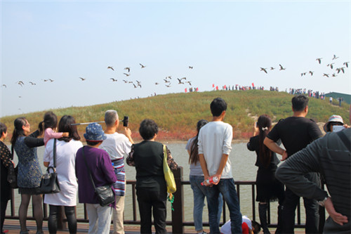 我國(guó)東部沿海保存最為完好的生態(tài)區(qū)之一