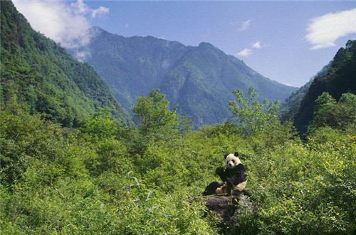 中國(guó)最美的十大自然保護(hù)區(qū)